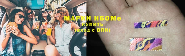 гидра Липки
