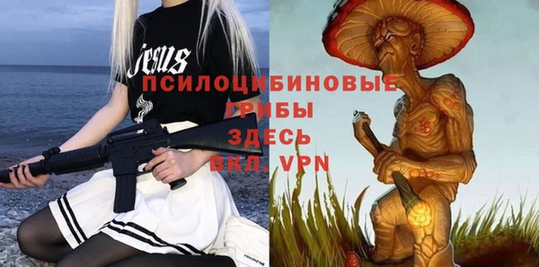 гидра Липки