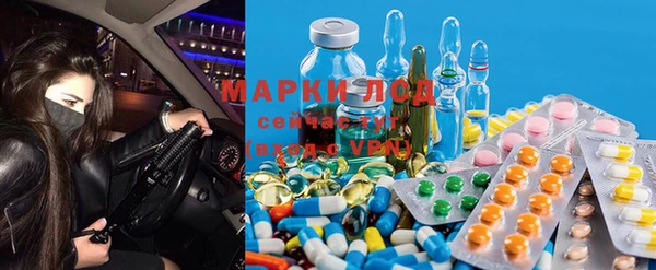 гидра Липки